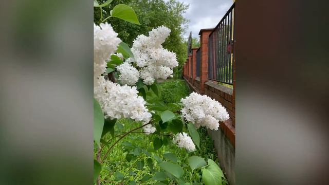 Россия. Урал. 2019. Russia. Ural. смотреть онлайн