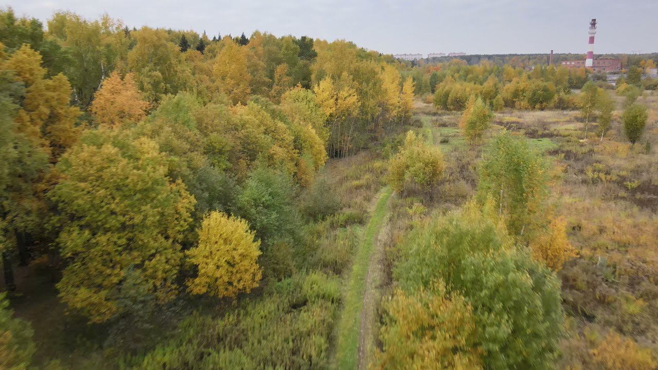 DJI 0276 смотреть онлайн