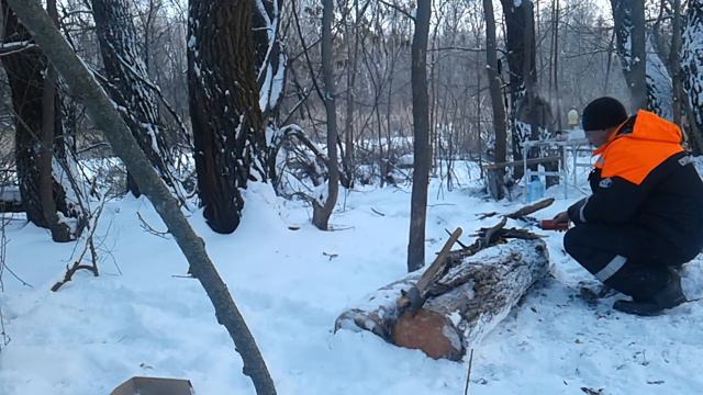 Ночую один в лесу. Нодья - костер таежных охотников. смотреть онлайн