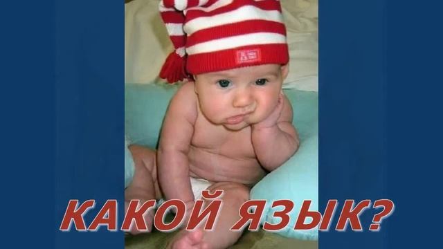 Изучение иностранного языка по программе SPEED STUDY смотреть онлайн