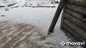 Оставили 30 гусей на племя. Строим гусятник из того что есть.