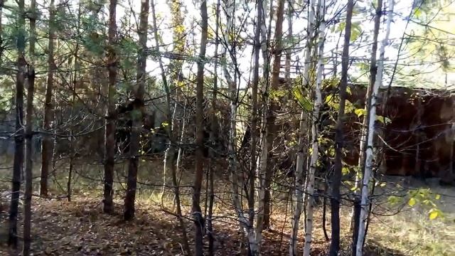 Посёлок Пионерский. На краю цивилизации смотреть онлайн