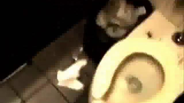 Пауки нападают! смотреть онлайн