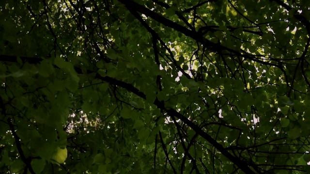 я попробовала измениться через свои рисунки смотреть онлайн