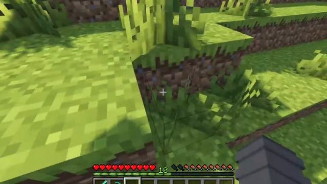 История соседей #1 смотреть онлайн