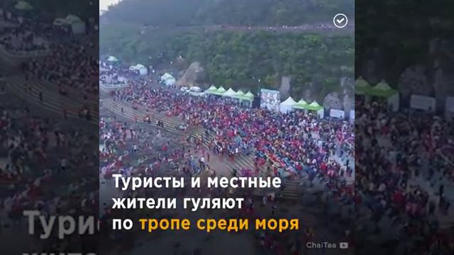 Южная Корея смотреть онлайн