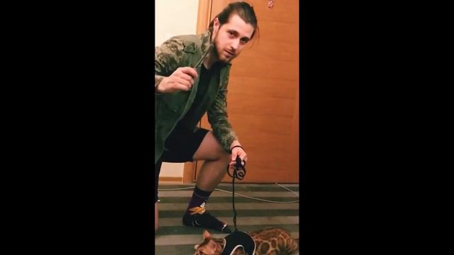 Кот Юлиус - как его побеждать! Хроники Хаоса Мобильная #Интересности_ХроникиХаоса смотреть онлайн