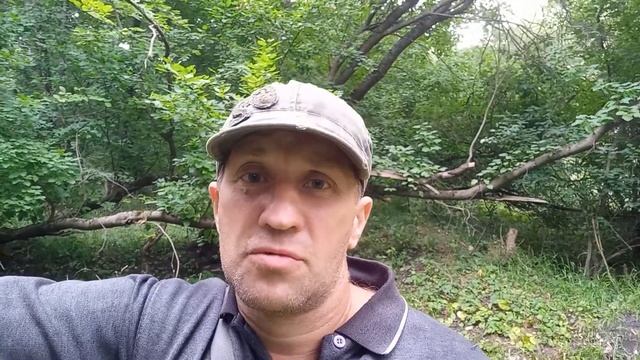 Как влияют на наше здоровье микроволны от металодэтэкторов . смотреть онлайн