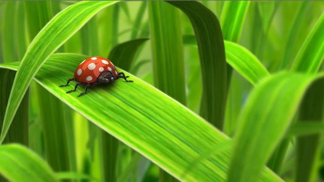 Video Картинки 2 смотреть онлайн