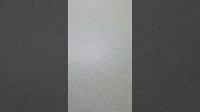 #shorts сеем в марте/перец/баклажан #огород #дача #перец #баклажаны смотреть онлайн