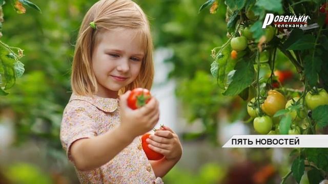 Для здорового детского организма нужны все витамины смотреть онлайн
