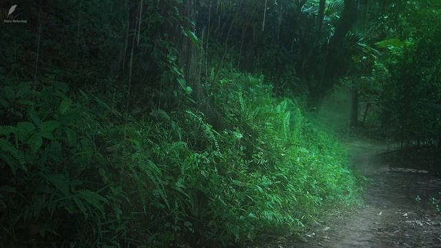 Cozy ambience for a good night's sleep | Rainforest thunderstorm sounds for sleeping смотреть онлайн