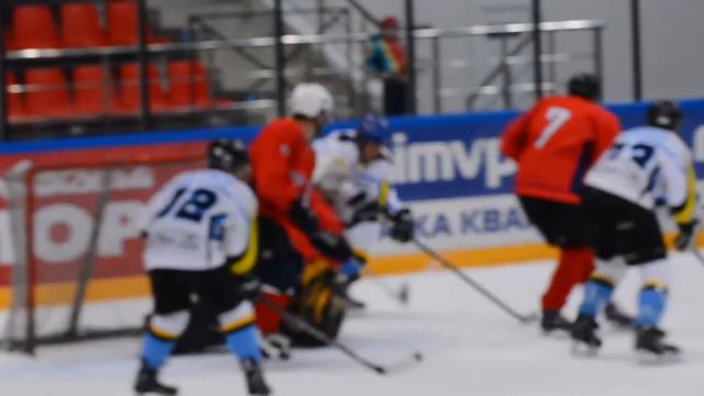 «Плесков» - «Молния» - 3:8