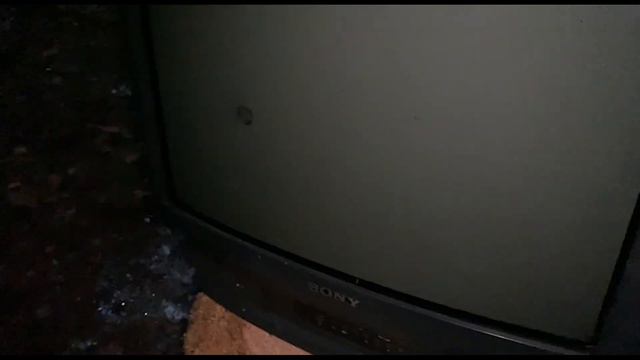 Лудоман проиграл 10 000$. Разборка с оппонентами в лесу. смотреть онлайн