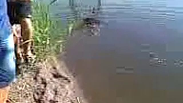 Рыбалка Старобешевское вдхр. смотреть онлайн