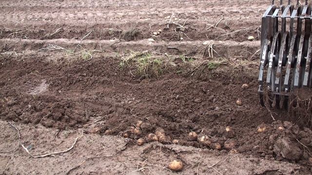 Супер экстримальное испытание моего нового вида картофелекопалки !!!Extreme test potato digger! смотреть онлайн