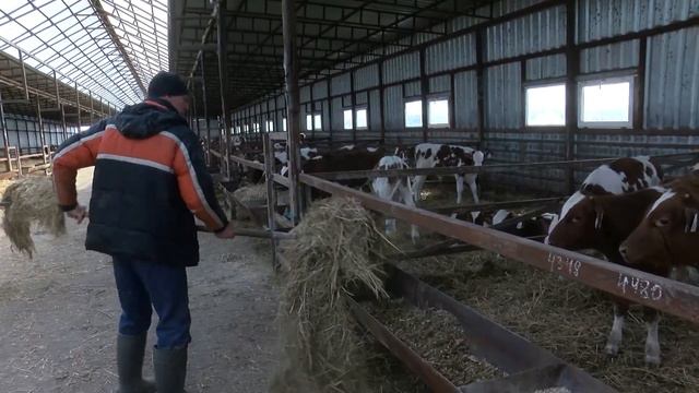 В Белгородской области стартовала посевная кампания смотреть онлайн