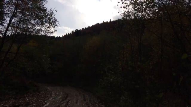 Никитино яркие выходные смотреть онлайн