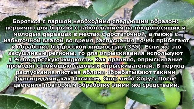 Болезни яблонь и борьба с ними. смотреть онлайн