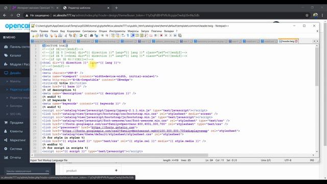 Урок 12. Микроразметка Open Graph на OpenCart 3 для стоковой темы и MegaStore - урок 12 смотреть онлайн