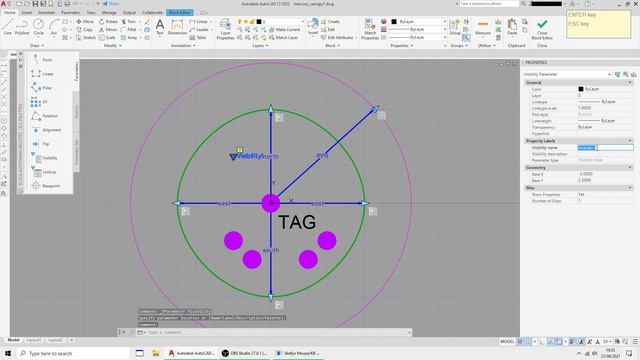 AutoCAD LT. Create BS5837 Tree Block with Canopy, RPA, Tag and Category Symbol. смотреть онлайн