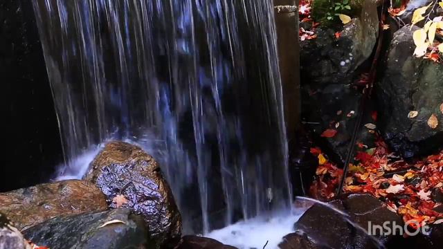 Колесниковы /Ждут помощи, Дайте денег/Обзор Влогов /7-я /Семья Колесниковых / смотреть онлайн