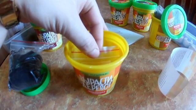 Набор "Вырасти дерево" . Земляника, виноград, гранат, кофе. смотреть онлайн