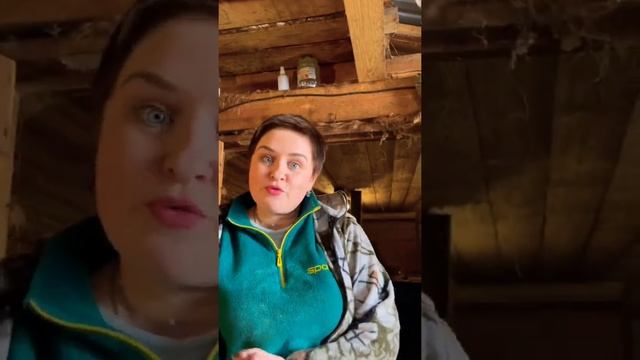 Жвачка у коровы. #marya_max смотреть онлайн
