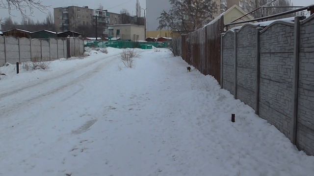 Запорожье. На улице Кармелюка тротуар будет в воде смотреть онлайн