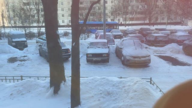 VLOG Зачем ставим уши / Волосы перестали сыпаться после ковида 21.22.12.21 смотреть онлайн