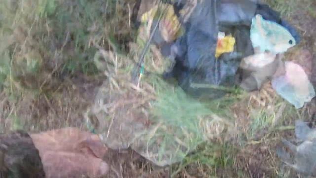 Да ещё как ! . РЫБАЛКА ! ЛОВЛЯ ЛЕЩА В КАМЫШАХ НА ДОНКИ . смотреть онлайн