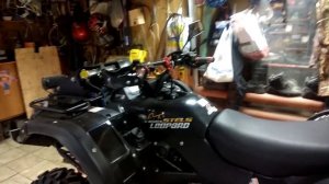 STELS Леопард 650  инжектор