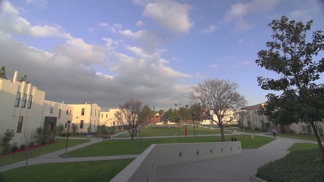 Лабиринты Воспоминаний