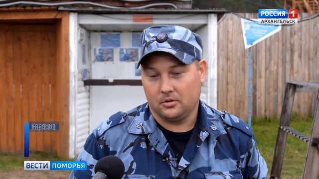 В Коряжме кинологи с собаками сдавали проф.экзамен смотреть онлайн