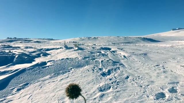 Прогулка в Лаго-Наки ( Адыгея) смотреть онлайн