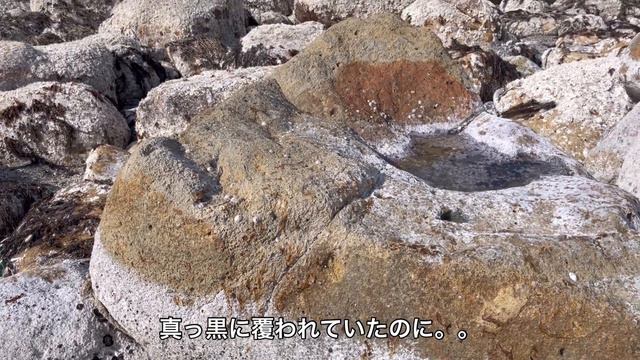 【隆起後の岩のり】隆起を歩き崖を越え1時間！震災2日前の最後の漁場！現在の姿！ смотреть онлайн