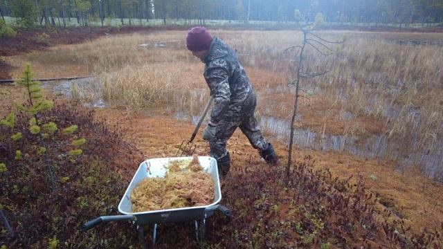 Строительство избы за 6 минут.