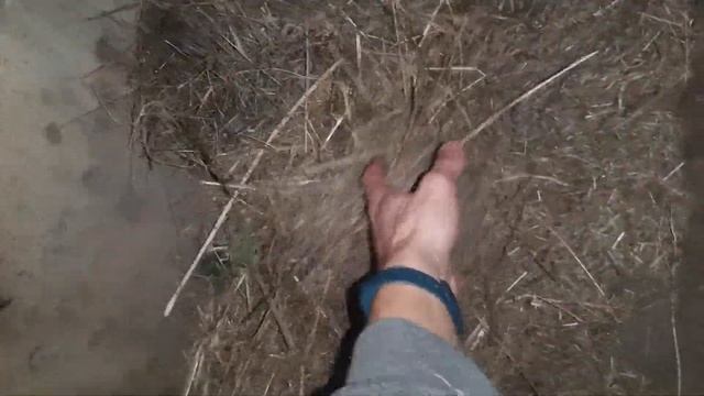 УСТАНОВИЛ ПОИЛКИ ДЛЯ КОРОВ| АВТОПОИЛКИ В КОРОВНИКЕ! смотреть онлайн