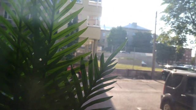 Лайфхаки для поломавших правую руку. 🦾😊