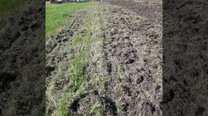Поднятие целины тяжёлым мотоблоком Скаут 15DE. Часть2.