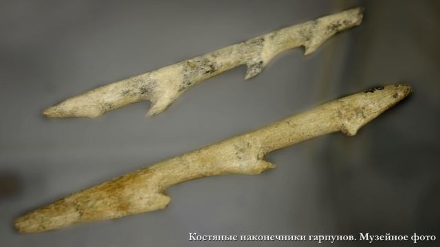 История древнего мира. #3. Родовая община смотреть онлайн