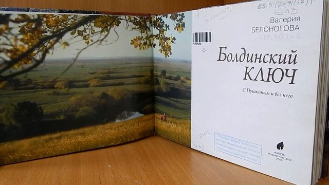 Книги о пушкинских местах Нижегородской земли смотреть онлайн