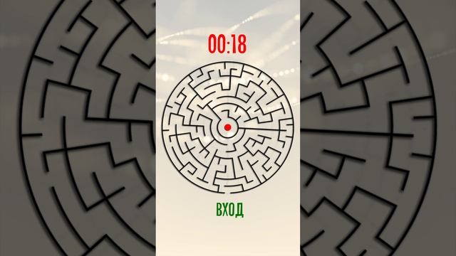 Найдите путь к центру лабиринта за 30 секунд. Оттачиваем сосредоточенность и внимание смотреть онлайн