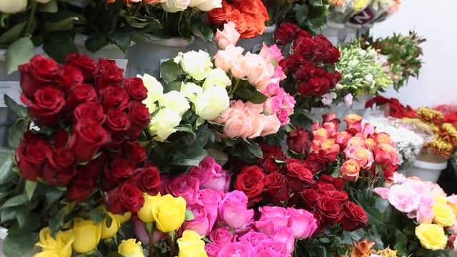 МИР ЦВЕТОВ | ШКОЛА ФЛОРИСТИКИ | ФИШКИ | СЕКРЕТЫ ФЛОРИСТИКИ