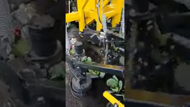 Культиватор-полольник междурядий КПМ-3 (трёх рядный, версия 2020) Тюмень. смотреть онлайн