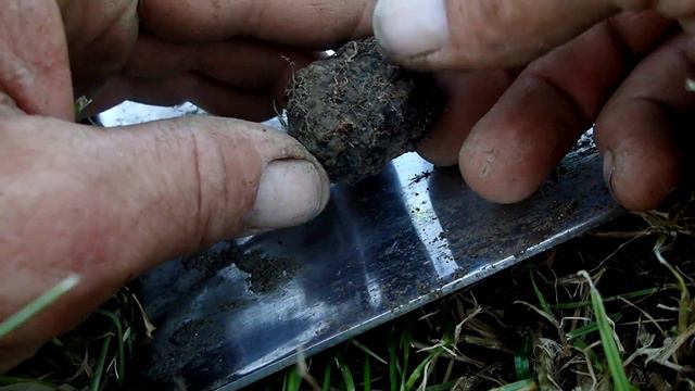 Metal detecting ADVENTURE. смотреть онлайн