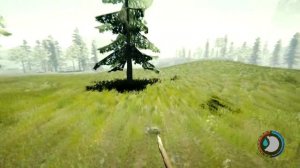 ГДЕ НАЙТИ В THE FOREST | ЕНОТ