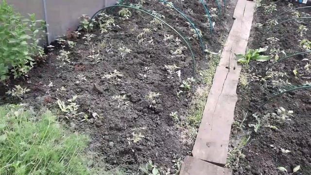 РАБОТЫ НА ДАЧЕ В МАЕ смотреть онлайн