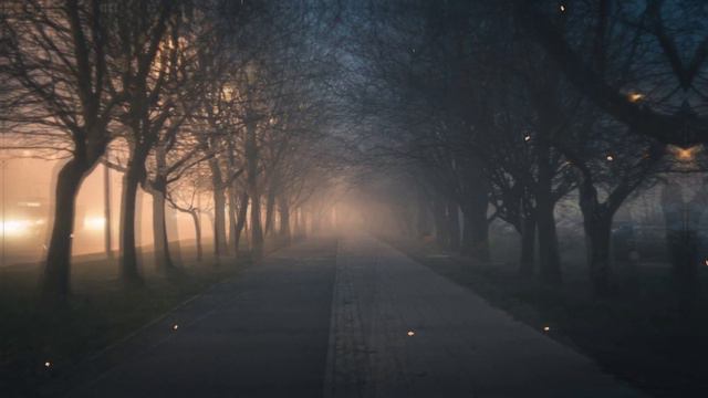Relaxing Piano Music for Sleep. Fall Asleep Instantly.... смотреть онлайн