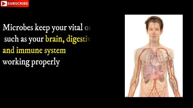 Top 10 facts that you should know about microbes!!!